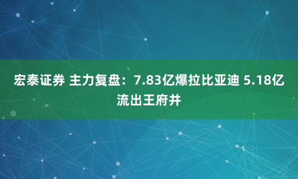 宏泰证券 主力复盘：7.83亿爆拉比亚迪 5.18亿流出王府井
