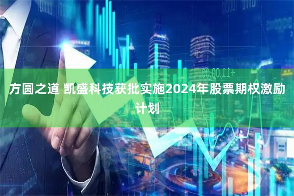 方圆之道 凯盛科技获批实施2024年股票期权激励计划