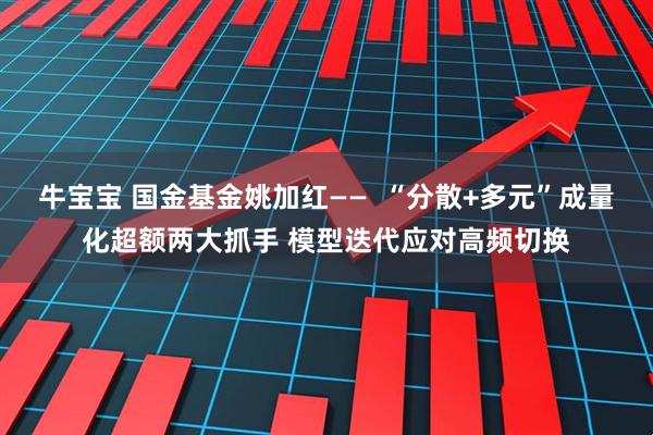 牛宝宝 国金基金姚加红——  “分散+多元”成量化超额两大抓手 模型迭代应对高频切换