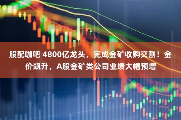 股配咖吧 4800亿龙头，完成金矿收购交割！金价飙升，A股金矿类公司业绩大幅预增