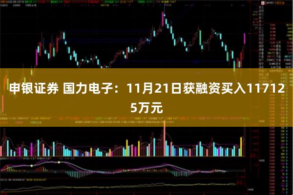 申银证券 国力电子：11月21日获融资买入117125万元