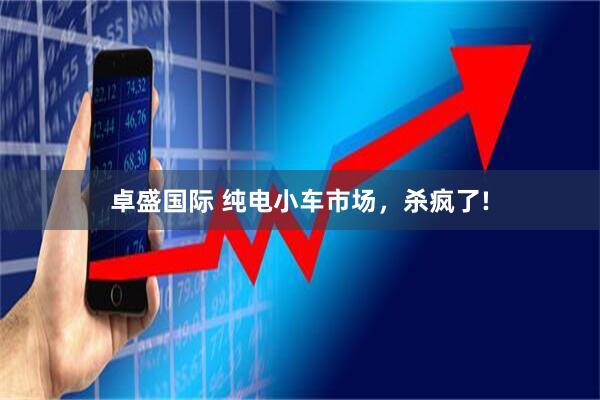 卓盛国际 纯电小车市场，杀疯了!